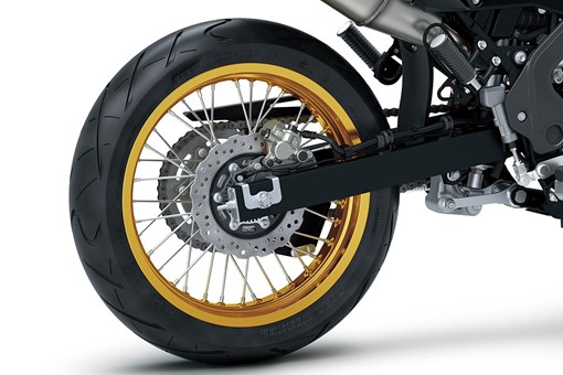 KLX 230 SM SE - Image 10