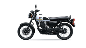 W175-ABS RP - Image 4